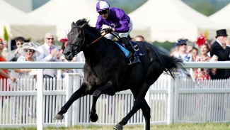 King Of Steel bypasses York in favour of Irish Champion Stakes