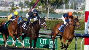 Caymanas Park to celebrate retired horses with historic raceday