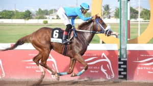 Raddesh Roman and American-bred Runaway Algo easy in victory in the Thunderbird Trophy feature event at Caymanas Park on Saturday