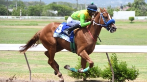 Reyan Lewis pilots Huntsman to victory in the Mr Lover Lover trophy contest at Caymanas Park on Sunday.