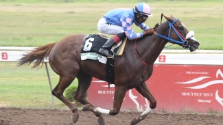 Jockey Reyan Lewis pilots She&#039;s My Destiny to victory in the SVL Anniversary Trophy feature at Caymanas Park on Saturday