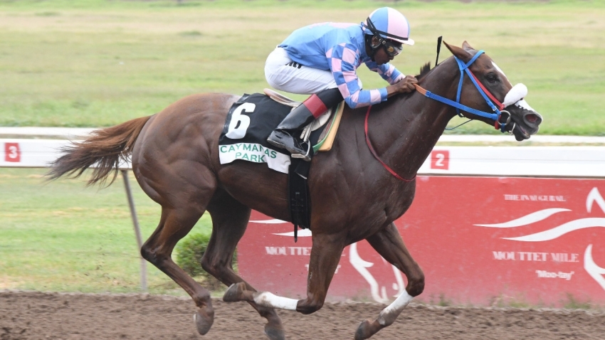 Jockey Reyan Lewis pilots She&#039;s My Destiny to victory in the SVL Anniversary Trophy feature at Caymanas Park on Saturday
