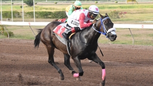 Lure of Lucy and Reyan Lewis easing to victory in the top rated Overnight Allowance contest at Caymanas Park on Saturday.