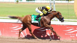 Atomica with Dane Dawkins aboard, romps the Menudo Trophy feature at Caymanas Park on Saturday.