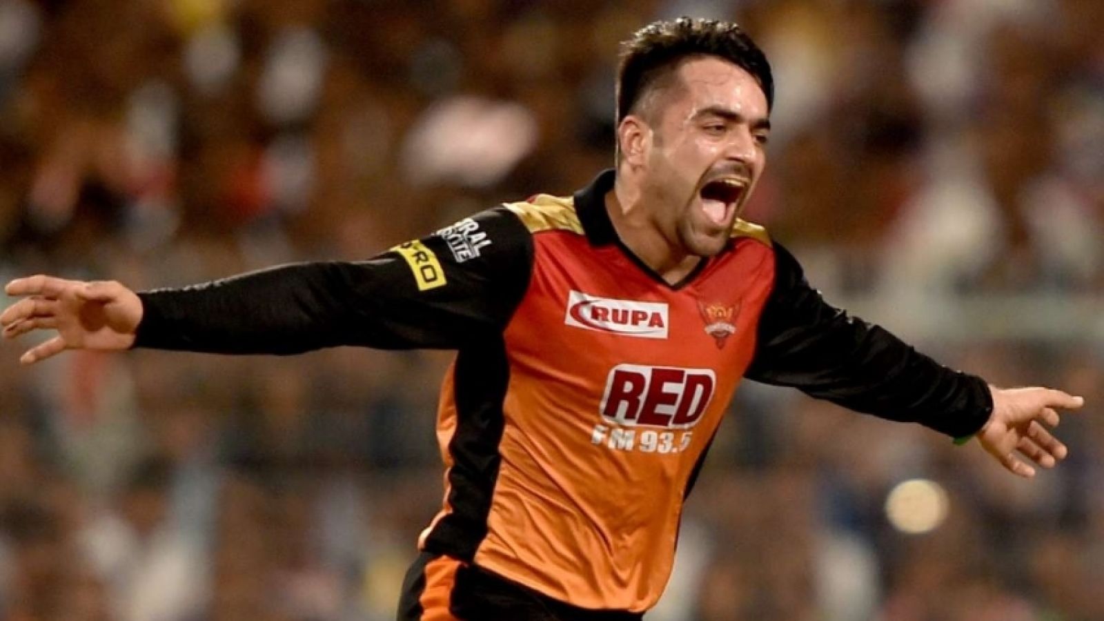 Tridents Signing Rashid Khan A 'massive Boost' - Alex Hales - Sportsmax